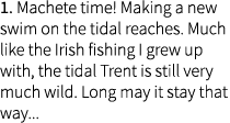 1. Machete time! Making a new swim on the tidal reaches. Much like the Irish fishing I grew up with, the tidal Trent ...