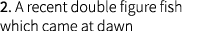2. A recent double figure fish which came at dawn