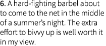 6. A hard-fighting barbel about to come to the net in the middle of a summer’s night. The extra effort to bivvy up is...