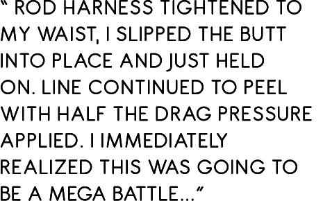 “ Rod harness tightened to my waist, I slipped the butt into place and just held on. Line continued to peel with half...