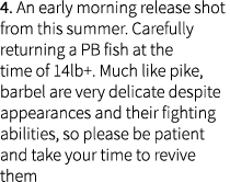 4. An early morning release shot from this summer. Carefully returning a PB fish at the time of 14lb+. Much like pike...