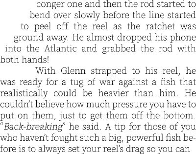 conger one and then the rod started to bend over slowly before the line started to peel off the reel as the ratchet w...