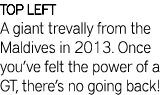 TOP LEFT A giant trevally from the Maldives in 2013. Once you’ve felt the power of a GT, there’s no going back!