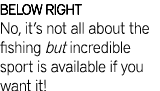 BELOW RIGHT No, it’s not all about the fishing but incredible sport is available if you want it!