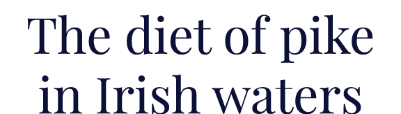 The diet of pike in Irish waters