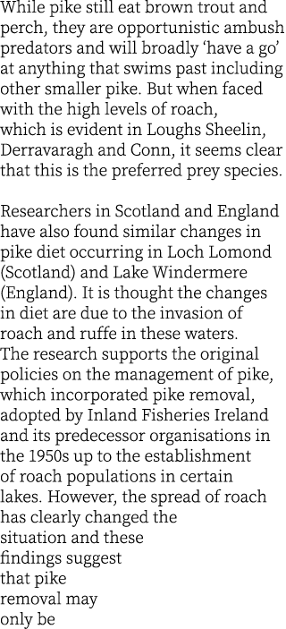 While pike still eat brown trout and perch, they are opportunistic ambush predators and will broadly ‘have a go’ at a...