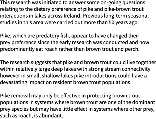 This research was initiated to answer some on-going questions relating to the dietary preference of pike and pike-bro...