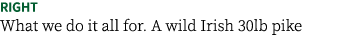 RIGHT What we do it all for. A wild Irish 30lb pike 