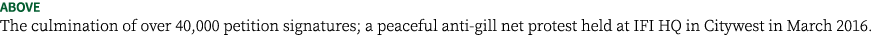 ABOVE The culmination of over 40,000 petition signatures; a peaceful anti-gill net protest held at IFI HQ in Citywest...