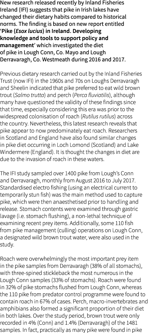 New research released recently by Inland Fisheries Ireland (IFI) suggests that pike in Irish lakes have changed their...