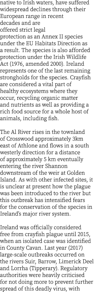 native to Irish waters, have suffered widespread declines through their European range in recent decades and are offe...