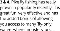 3 & 4. Pike fly fishing has really grown in popularity recently. It is great fun, very effective and has the added bo...