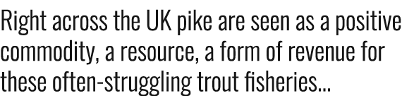 Right across the UK pike are seen as a positive commodity, a resource, a form of revenue for these often-struggling t...
