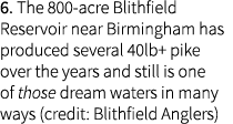 6. The 800-acre Blithfield Reservoir near Birmingham has produced several 40lb+ pike over the years and still is one ...