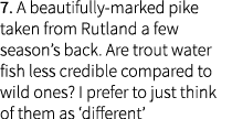 7. A beautifully-marked pike taken from Rutland a few season’s back. Are trout water fish less credible compared to w...