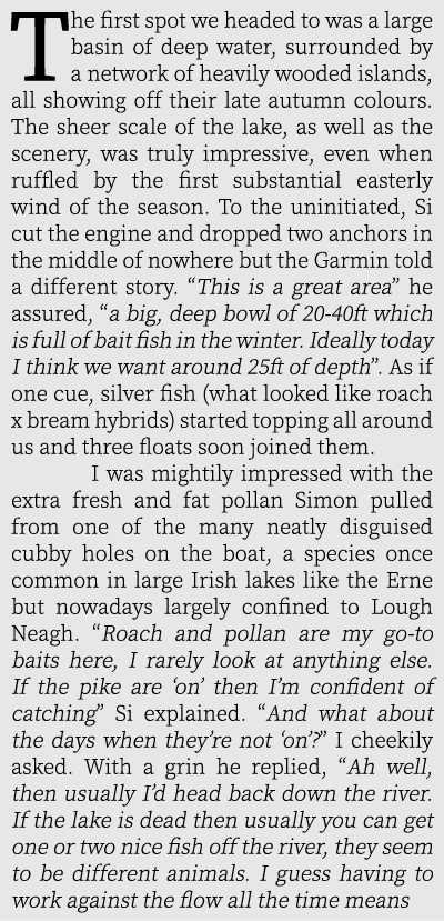 The first spot we headed to was a large basin of deep water, surrounded by a network of heavily wooded islands, all s...