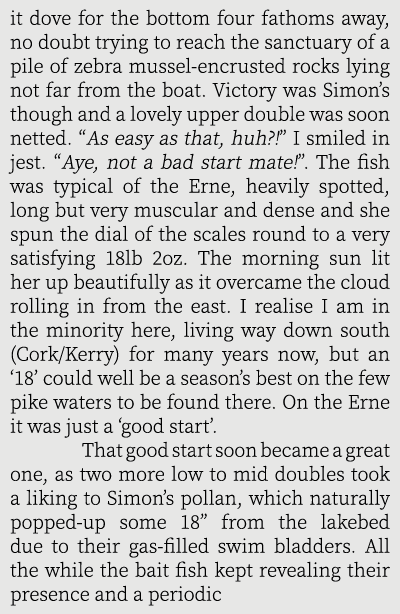 it dove for the bottom four fathoms away, no doubt trying to reach the sanctuary of a pile of zebra mussel-encrusted ...