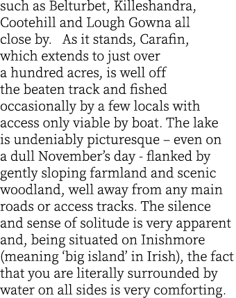 such as Belturbet, Killeshandra, Cootehill and Lough Gowna all close by.  As it stands, Carafin, which extends to jus...