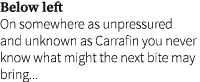 Below left On somewhere as unpressured and unknown as Carrafin you never know what might the next bite may bring...