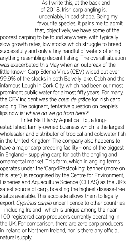 As I write this, at the back end of 2018, Irish carp angling is, undeniably, in bad shape. Being my favourite species...
