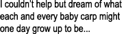 I couldn’t help but dream of what each and every baby carp might one day grow up to be... 