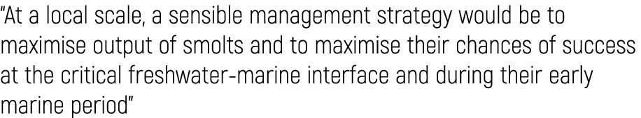 “At a local scale, a sensible management strategy would be to maximise output of smolts and to maximise their chances...