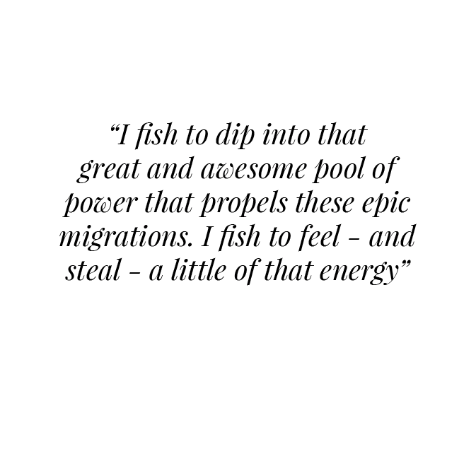  “I fish to dip into that great and awesome pool of power that propels these epic migrations. I fish to feel - and st...