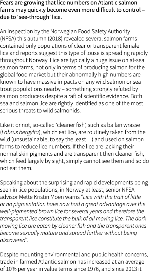 Fears are growing that lice numbers on Atlantic salmon farms may quickly become even more difficult to control – due ...
