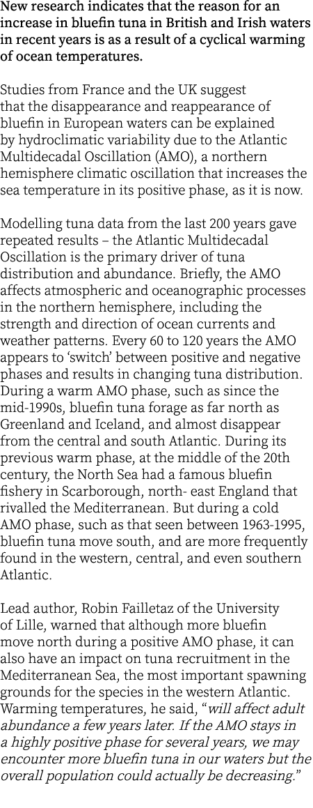 New research indicates that the reason for an increase in bluefin tuna in British and Irish waters in recent years is...