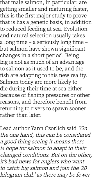 that male salmon, in particular, are getting smaller and maturing faster, this is the first major study to prove that...