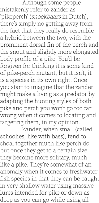  Although some people mistakenly refer to zander as ‘pikeperch’ (snoekbaars in Dutch), there’s simply no getting away...