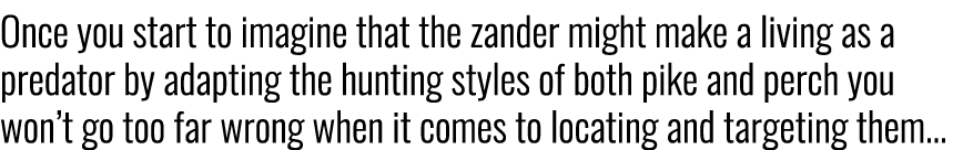 Once you start to imagine that the zander might make a living as a predator by adapting the hunting styles of both pi...