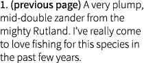 1. (previous page) A very plump, mid-double zander from the mighty Rutland. I’ve really come to love fishing for this...