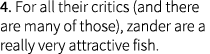4. For all their critics (and there are many of those), zander are a really very attractive fish.
