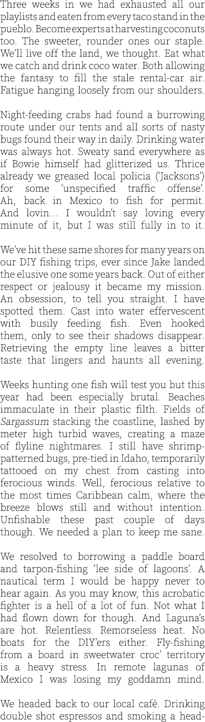 Three weeks in we had exhausted all our playlists and eaten from every taco stand in the pueblo. Become experts at ha...