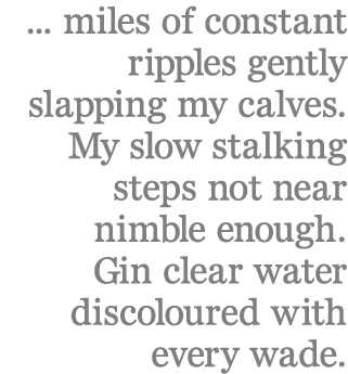 ... miles of constant ripples gently slapping my calves. My slow stalking steps not near nimble enough. Gin clear wat...
