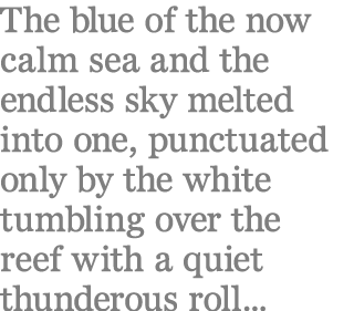The blue of the now calm sea and the endless sky melted into one, punctuated only by the white tumbling over the reef...