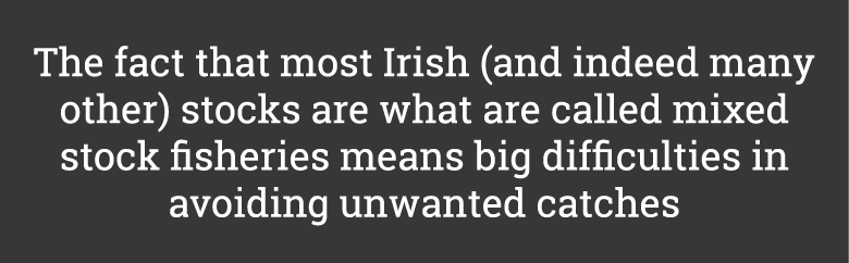 The fact that most Irish (and indeed many other) stocks are what are called mixed stock fisheries means big difficult...