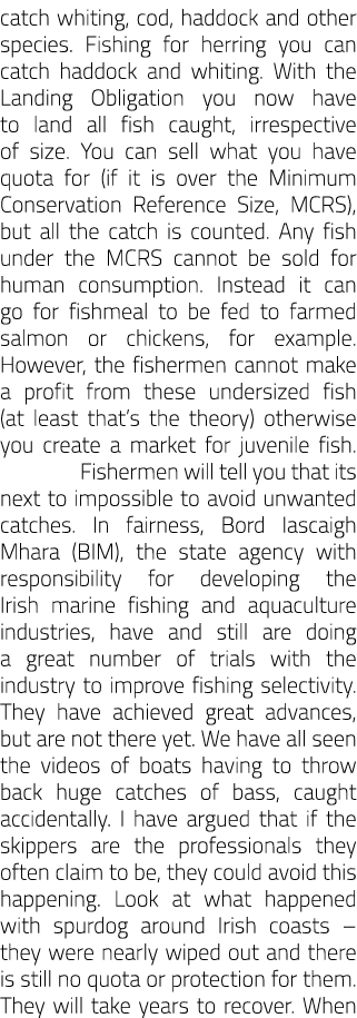 catch whiting, cod, haddock and other species. Fishing for herring you can catch haddock and whiting. With the Landin...