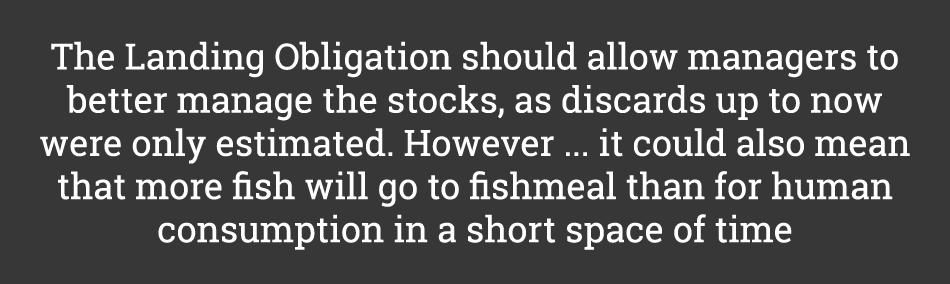 The Landing Obligation should allow managers to better manage the stocks, as discards up to now were only estimated. ...