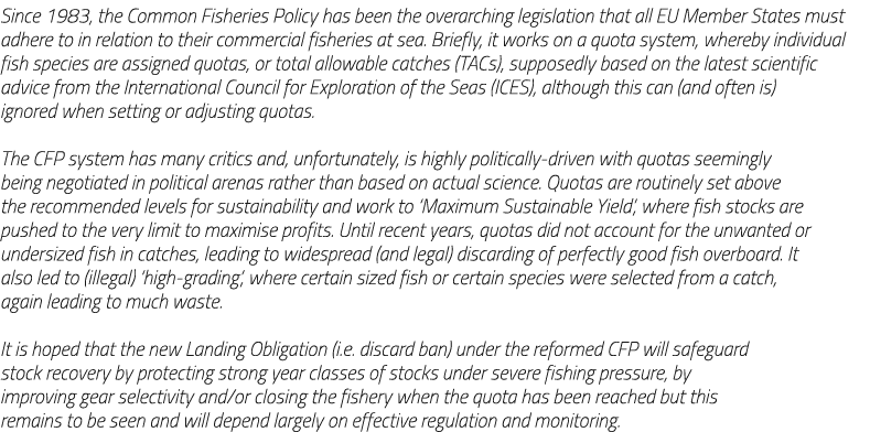Since 1983, the Common Fisheries Policy has been the overarching legislation that all EU Member States must adhere to...