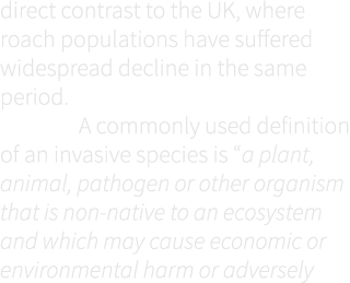 direct contrast to the UK, where roach populations have suffered widespread decline in the same period. A commonly us...