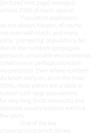 (pictured next page) averaged almost 200lb of roach apiece! Population explosions do not always happen, of course, no...