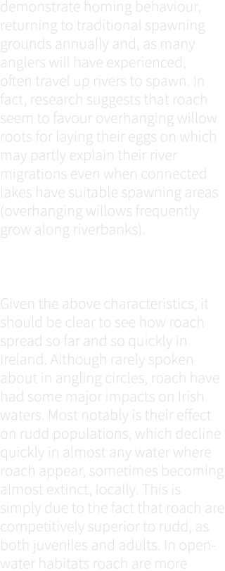 demonstrate homing behaviour, returning to traditional spawning grounds annually and, as many anglers will have exper...