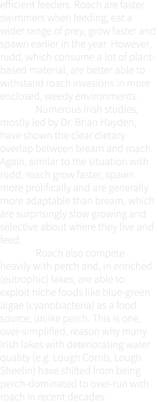 efficient feeders. Roach are faster swimmers when feeding, eat a wider range of prey, grow faster and spawn earlier i...