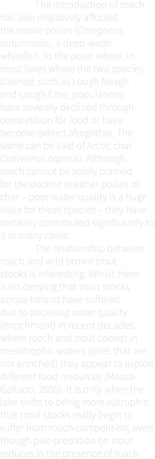  The introduction of roach has also negatively affected the native pollan (Coregonus autumnalis), a deep-water whitef...