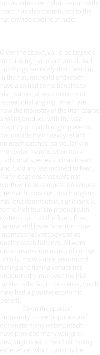 not as extensive, hybridisation with roach has also contributed to the nationwide decline of rudd. Do roach have any ...
