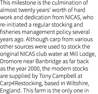 This milestone is the culmination of almost twenty years’ worth of hard work and dedication from NICAS, who re-initia...