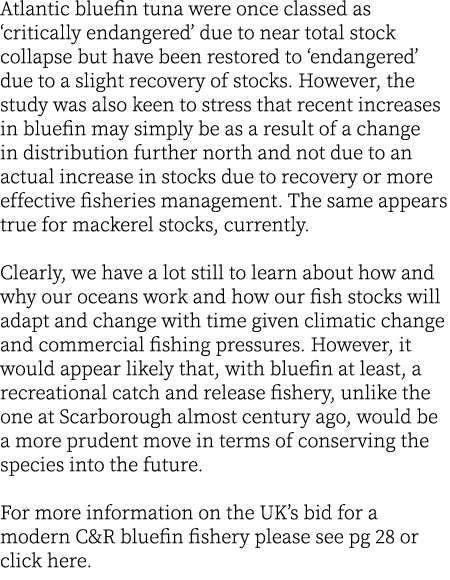 Atlantic bluefin tuna were once classed as ‘critically endangered’ due to near total stock collapse but have been res...