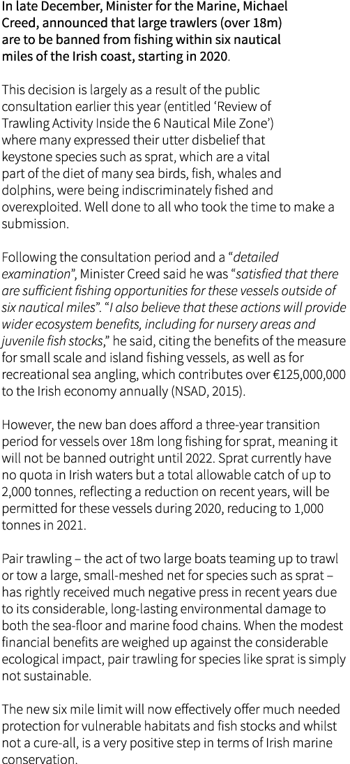 In late December, Minister for the Marine, Michael Creed, announced that large trawlers (over 18m) are to be banned f...
